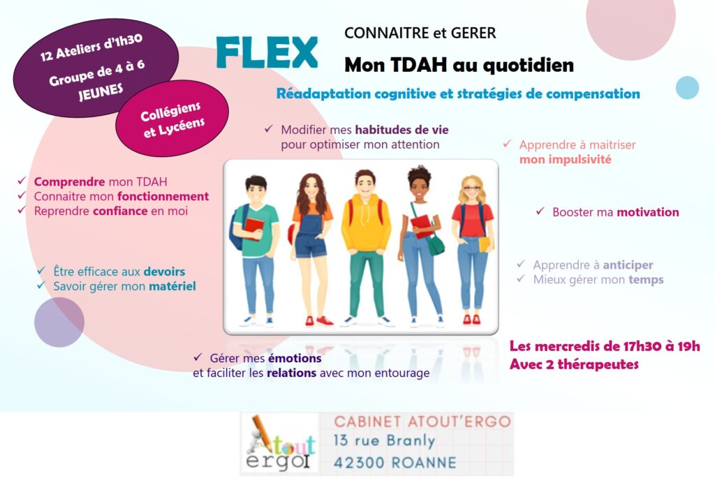 Illustration du programme FLEX